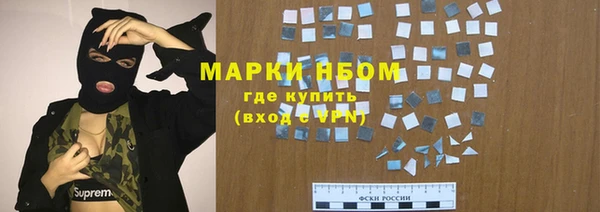 сатива Баксан