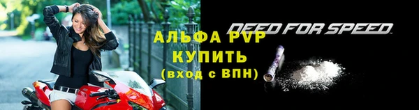 сатива Баксан