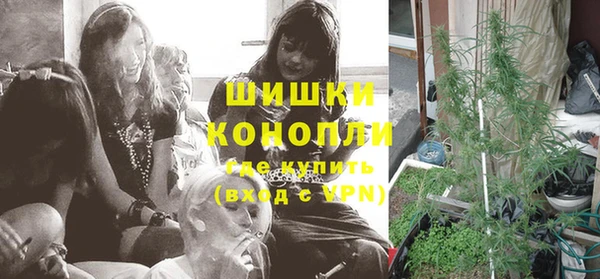 сатива Баксан