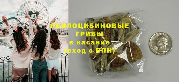 сатива Баксан