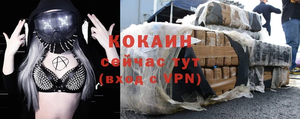 сатива Баксан