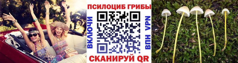 Галлюциногенные грибы Cubensis  наркошоп  Коммунар 